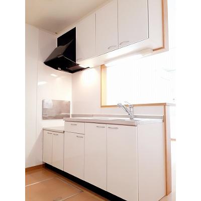 プローテ 102【管理NO：1-015346601-01020】 ★家具家電は申し込み後に搬入します★の物件画像