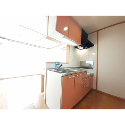 スペランツァ 203【管理NO：1-012658901-02030】 ★家具家電は申し込み後に搬入します★ ★2026年10月中旬入居可能★の物件画像