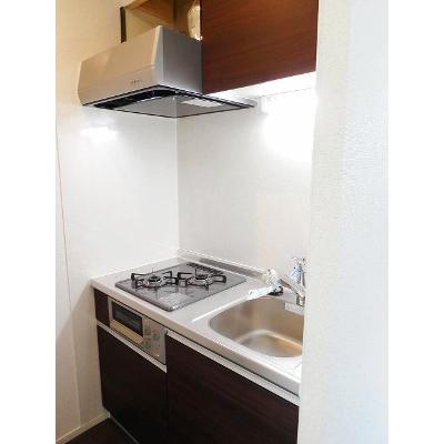 エルヴィータ　ＳＡＩＷＡＩ 104【管理NO：1-023359801-01040】 ★家具家電は申し込み後に搬入します★の物件画像
