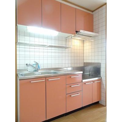 コーモドメゾン　Ｓ．Ｋ 202【管理NO：1-012485101-02020】 ★家具家電は申し込み後に搬入します★の物件画像
