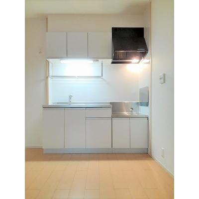 フェニックス 203【管理NO：1-017479301-02030】 ★家具家電は申し込み後に搬入します★の物件画像