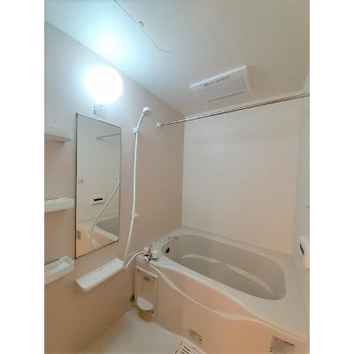 フェニックス 203【管理NO：1-017479301-02030】 ★家具家電は申し込み後に搬入します★の物件画像