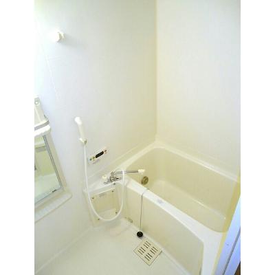 ＰＥＮＩＮＳＵＬＡ 205【管理NO：1-011075801-02040】 ★家具家電は申し込み後に搬入します★の物件画像