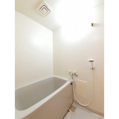 セレッソハイツＣ 201【管理NO：1-007087603-02010】 ★家具家電は申し込み後に搬入します★ ★2026年10月上旬入居可能★の物件画像