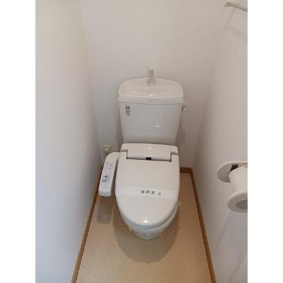ワンダフルパレスＮＩ 304【管理NO：1-014736201-03040】 ★家具家電は申し込み後に搬入します★の物件画像