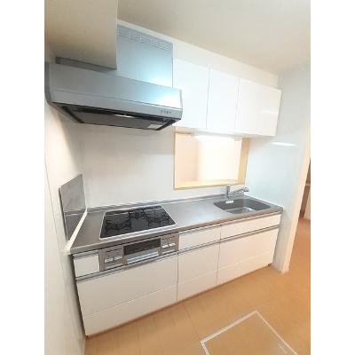メゾン・ド・マルベリー 103【管理NO：1-019465701-01030】 ★家具家電は申し込み後に搬入します★の物件画像