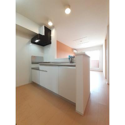 サンプリウス 202【管理NO：1-018732201-02020】 ★家具家電は申し込み後に搬入します★ ★2026年09月下旬入居可能★の物件画像