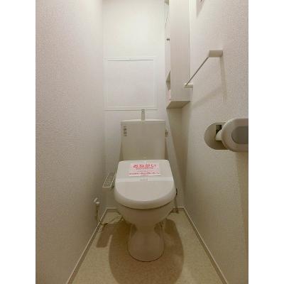 モリス 203【管理NO：1-021049302-02030】 ★家具家電は申し込み後に搬入します★ ★2026年10月上旬入居可能★の物件画像
