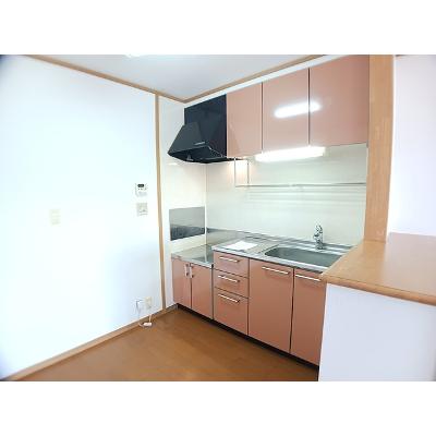 リバーサイドプラスワン 204【管理NO：1-013287201-02040】 ★家具家電は申し込み後に搬入します★ ★2026年09月下旬入居可能★の物件画像