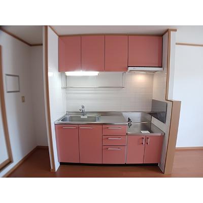 コットンハウス 202【管理NO：1-012407401-02020】 ★家具家電は申し込み後に搬入します★の物件画像
