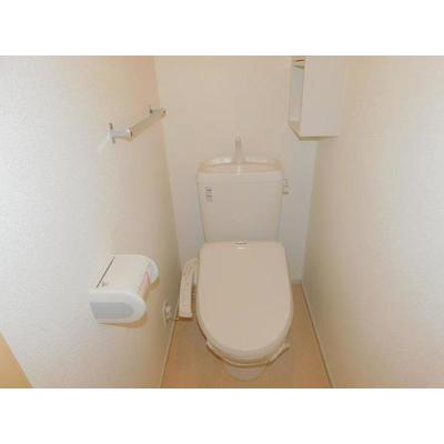 ホワイトサウンズあくつ 202【管理NO：1-017991401-02020】 ★家具家電は申し込み後に搬入します★ ★2026年10月上旬入居可能★の物件画像