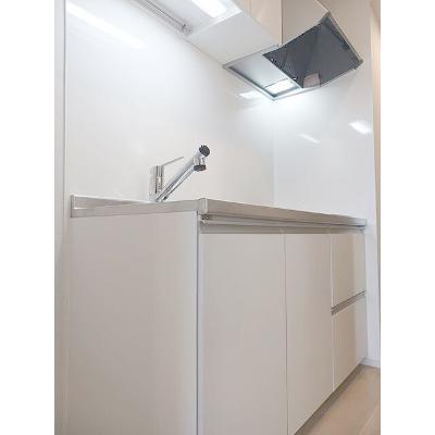 ヒカルサ静岡春日町 308【管理NO：1-028508701-03070】 ★家具家電は申し込み後に搬入します★の物件画像