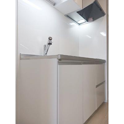 ヒカルサ静岡春日町 307【管理NO：1-028508701-03060】 ★家具家電は申し込み後に搬入します★の物件画像