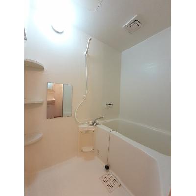 フォレスタⅡ 202【管理NO：1-011699301-02020】 ★家具家電は申し込み後に搬入します★ ★2026年10月中旬入居可能★の物件画像