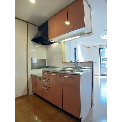 ピーチハウス 101【管理NO：1-012570401-01010】 ★家具家電は申し込み後に搬入します★の物件画像