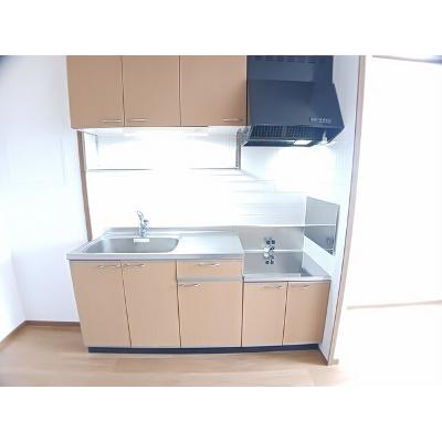サンライト藤 203【管理NO：1-011608901-02030】 ★家具家電は申し込み後に搬入します★ ★2026年09月下旬入居可能★の物件画像