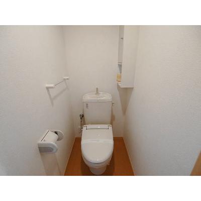 ＴＫエレガンテ 204【管理NO：1-014538201-02040】 ★家具家電は申し込み後に搬入します★ ★2026年09月下旬入居可能★の物件画像
