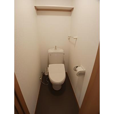 メゾンピュア 203【管理NO：1-012669201-02030】 ★家具家電は申し込み後に搬入します★ ★2026年10月中旬入居可能★の物件画像