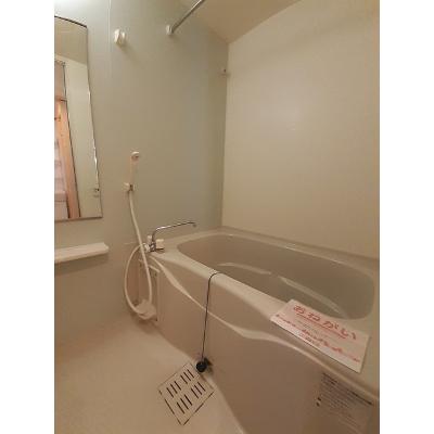 カルフール・Ｋ 101【管理NO：1-016528201-01010】 ★家具家電は申し込み後に搬入します★ ★2026年10月上旬入居可能★の物件画像