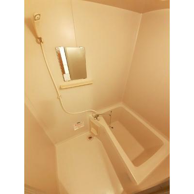 セレニオンハイツ 301【管理NO：1-003802401-03010】 ★家具家電は申し込み後に搬入します★ ★2026年10月中旬入居可能★の物件画像