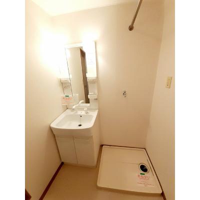 セレニオンハイツ 301【管理NO：1-003802401-03010】 ★家具家電は申し込み後に搬入します★ ★2026年10月中旬入居可能★の物件画像