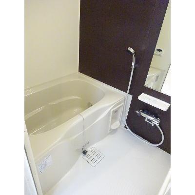 ステラ・フェリーチェ 203【管理NO：1-022399901-02030】 ★家具家電は申し込み後に搬入します★の物件画像