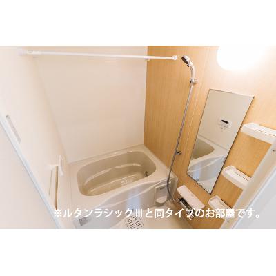 メゾン・セレニテ　Ｃ 302【管理NO：1-027636603-03020】 ★家具家電は申し込み後に搬入します★ ★2027年03月下旬入居可能★の物件画像