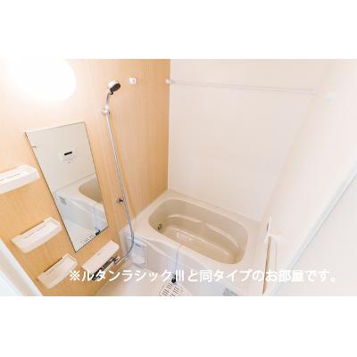 メゾン・セレニテ　Ｃ 301【管理NO：1-027636603-03010】 ★家具家電は申し込み後に搬入します★ ★2027年04月上旬入居可能★の物件画像