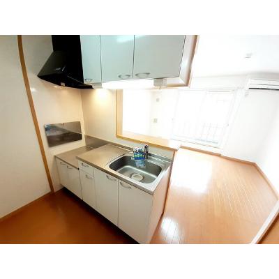 プラシード 203【管理NO：1-014066801-02030】 ★家具家電は申し込み後に搬入します★の物件画像