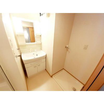 プラシード 203【管理NO：1-014066801-02030】 ★家具家電は申し込み後に搬入します★の物件画像