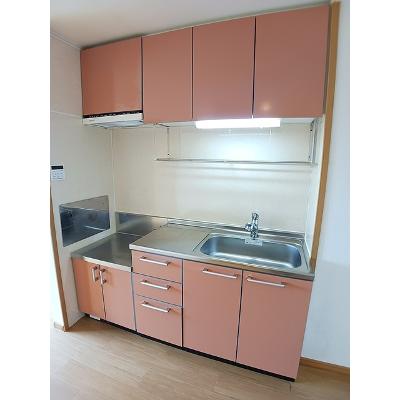 エントランス　壱番館 203【管理NO：1-013423701-02030】 ★家具家電は申し込み後に搬入します★の物件画像