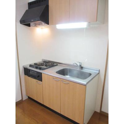 パ－ムヒルズマンション 305【管理NO：1-012809801-03050】 ★家具家電は申し込み後に搬入します★ ★2026年10月上旬入居可能★の物件画像
