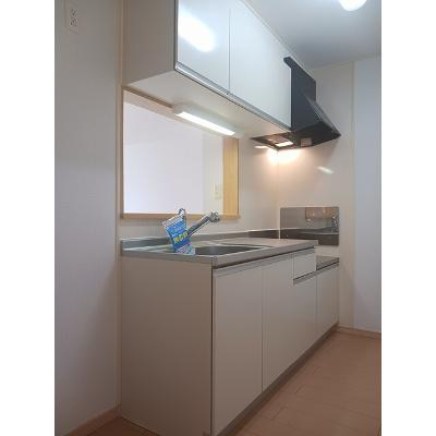 エレヴァ―トピアＤ 203【管理NO：1-015461902-02030】 ★家具家電は申し込み後に搬入します★の物件画像