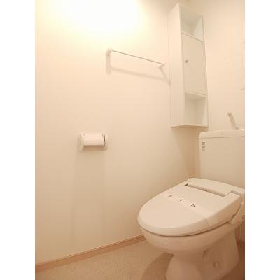 エレヴァ―トピアＤ 203【管理NO：1-015461902-02030】 ★家具家電は申し込み後に搬入します★の物件画像