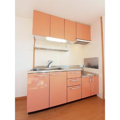 グレィス 203【管理NO：1-013378201-02030】 ★家具家電は申し込み後に搬入します★の物件画像