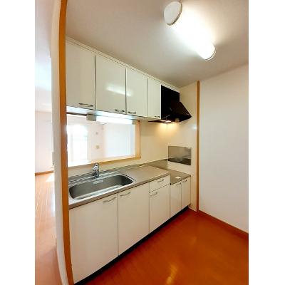 シャテーニュ 204【管理NO：1-014390501-02040】 ★家具家電は申し込み後に搬入します★ ★2026年12月中旬入居可能★の物件画像
