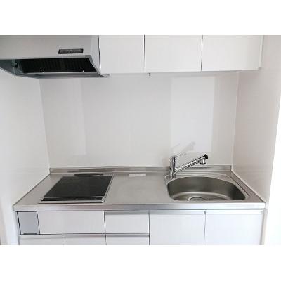 テルマエ大和 101【管理NO：1-028289301-01010】 ★家具家電は申し込み後に搬入します★の物件画像