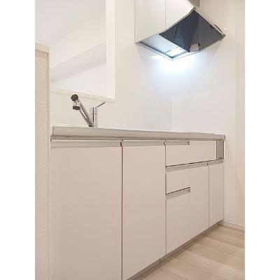 ラピスラズリⅤ 203【管理NO：1-027709301-02030】 ★家具家電は申し込み後に搬入します★の物件画像