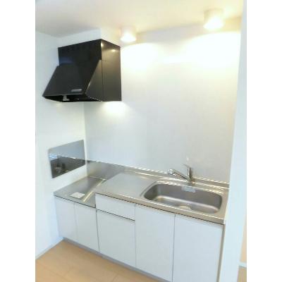 ファイン 201【管理NO：1-018358001-02010】 ★家具家電は申し込み後に搬入します★の物件画像