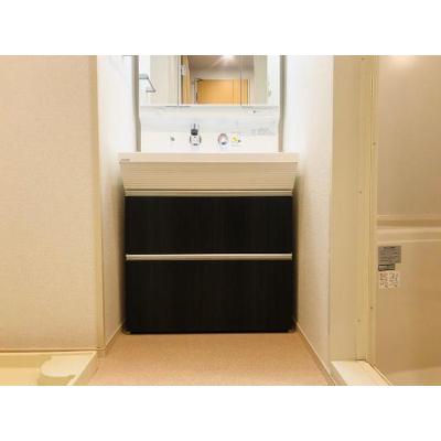 プレシャス 801【管理NO：1-023498801-08010】 ★家具家電は申し込み後に搬入します★ ★2026年09月下旬入居可能★の物件画像