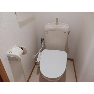 プラシード　Ｕ・Ｉ 503【管理NO：1-014577501-05030】 ★家具家電は申し込み後に搬入します★ ★2026年11月上旬入居可能★の物件画像