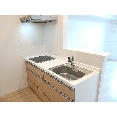 ビオレタＡ 202【管理NO：1-028442401-02020】 ★家具家電は申し込み後に搬入します★の物件画像