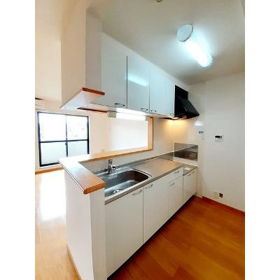 オネスティ　ユー　カレント 205【管理NO：1-013631801-02050】 ★家具家電は申し込み後に搬入します★の物件画像
