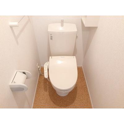 Ｓｏｌａｎａ．１ 203【管理NO：1-021954101-02030】 ★家具家電は申し込み後に搬入します★ ★2026年10月下旬入居可能★の物件画像