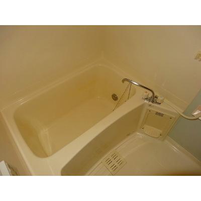 クリプトメリア 306【管理NO：1-013879301-03060】 ★家具家電は申し込み後に搬入します★ ★2026年10月中旬入居可能★の物件画像