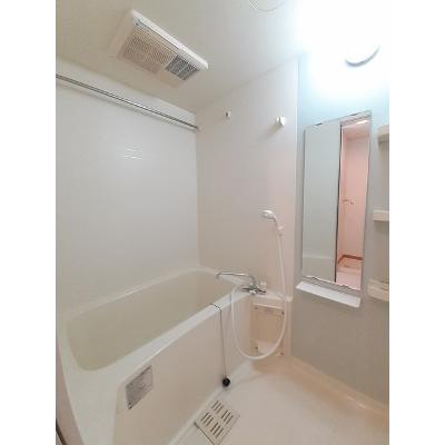大樹 205【管理NO：1-013813701-02040】 ★家具家電は申し込み後に搬入します★ ★2026年10月上旬入居可能★の物件画像