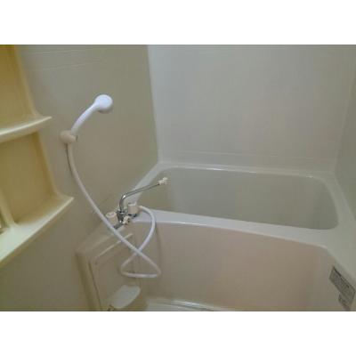 パレスイナバ 201【管理NO：1-004476201-02010】 ★家具家電は申し込み後に搬入します★ ★2026年10月下旬入居可能★の物件画像