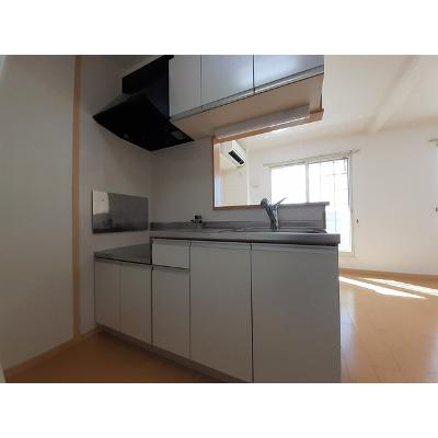 ドミールディオンⅡ 204【管理NO：1-016994801-02040】 ★家具家電は申し込み後に搬入します★ ★2026年10月中旬入居可能★の物件画像