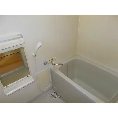 メゾン井貫 202【管理NO：1-003866601-02020】 ★家具家電は申し込み後に搬入します★ ★2026年10月中旬入居可能★の物件画像