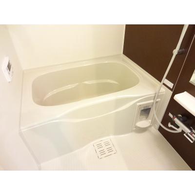 ミ　ライズ 202【管理NO：1-021420301-02020】 ★家具家電は申し込み後に搬入します★ ★2026年10月中旬入居可能★の物件画像